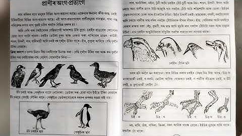 বিজ্ঞান //তৃতীয় মান//প্ৰাণীৰ অংগ-প্ৰত্যংগ