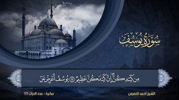 12 | سورة يوسف | الشيخ أحمد النفيس