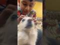 😍Pet Lover 😍#youtubeshorts #viralvideo #shortvideo #petlover