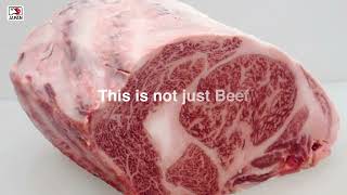 Range Meat Academy Waygu Overview Course