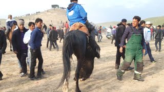 АСП БОЗОР Аспи Бузкаши фурши лошадей, horses, 8 03 2020 г.