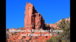 Adventure in Escalante Canyon and Palmer Gulch