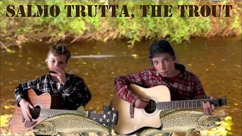 Thumbnail of Salmo Trutta, The Trout- Fishing song