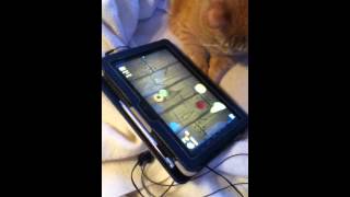 Fat cat playing fruit ninja screenshot 4