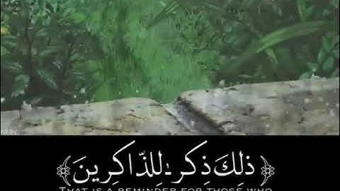 تلاوة خاشعة ل سورة هود الآية 114-115 من القارئ ماهر المعيقلي #القرآن_الكريم #سورة_هود 