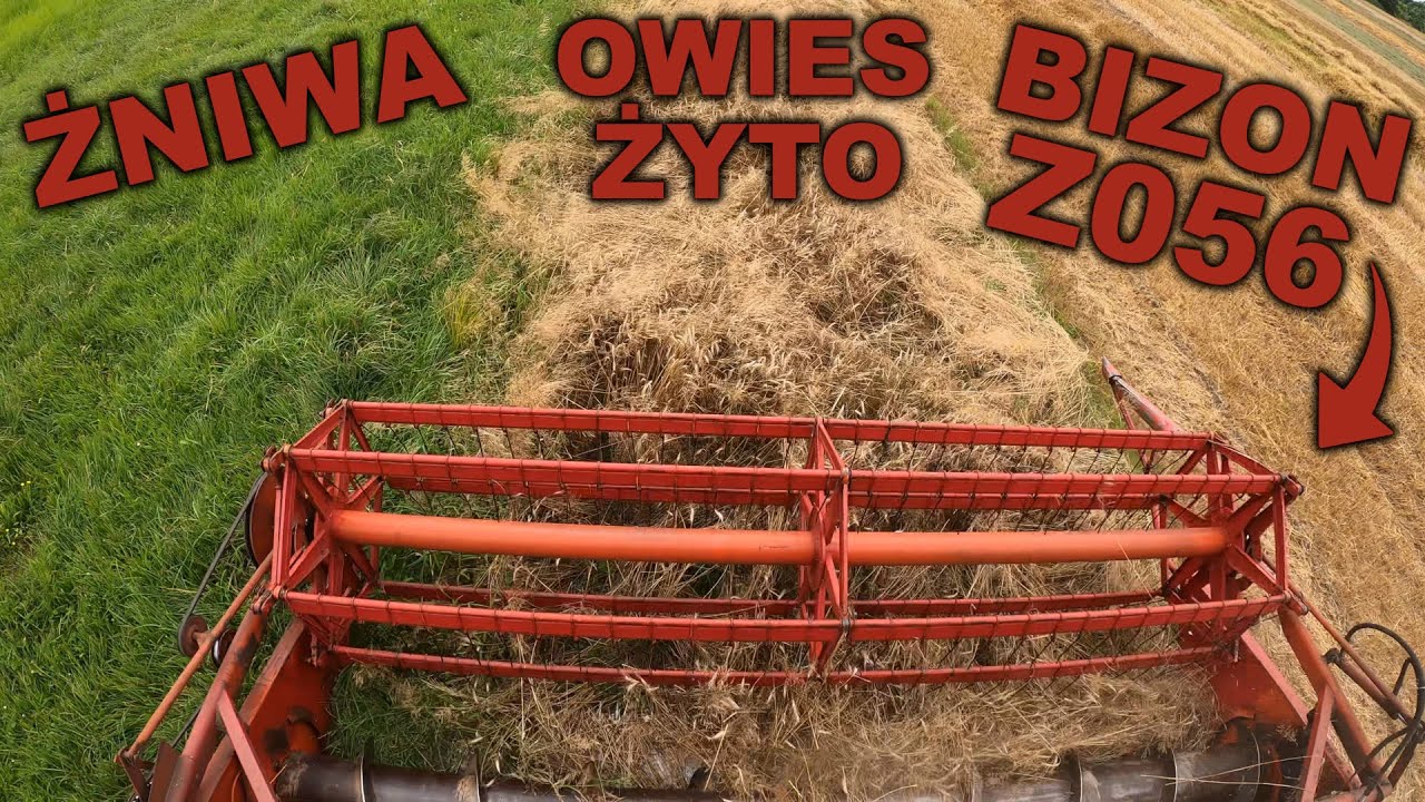 Koszenie żyta i owsa / Wyścig z deszczem / Małe działki - Bizon Z056 (Żniwa)
