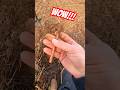 Интересная находка!  #золото #metaldetecting #shortvideo #коп #поиск #metaldetector #клад  #shorts