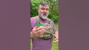 Chigger Bites: Stop the Itch! Prevention & Treatment