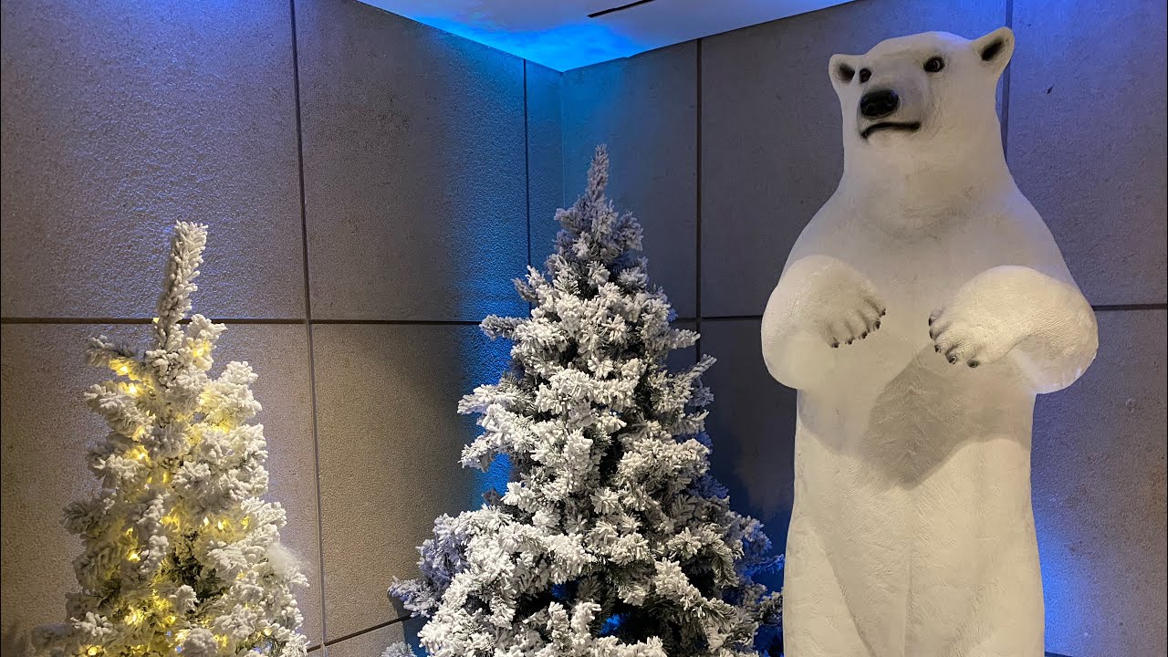 NYC LIVE Rockefeller Center Last Weekend Before Christmas 🎄🎅 (December 20, 2020) YouTube