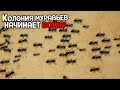 ВСЕ МУРАВЬИ КОЛОНИИ ИДУТ НА ВОЙНУ - Empires of the Undergrowth