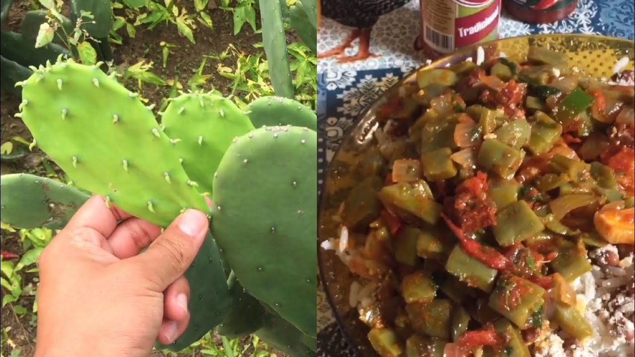 COMO FAZER PALMA REFOGADA, ALIMENTO QUE MATOU A FOME DO NORDESTINO EM SECAS CRUÉIS!