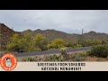 Greetings from Sahuaro National Monument!