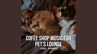 Feline Favourites in the Java Jive