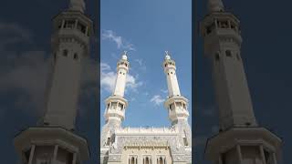 from PIL import Imageimg = Image.open('/mnt/data/1000004031.jpg')out = '/mnt/data/photo_copy.jpg'