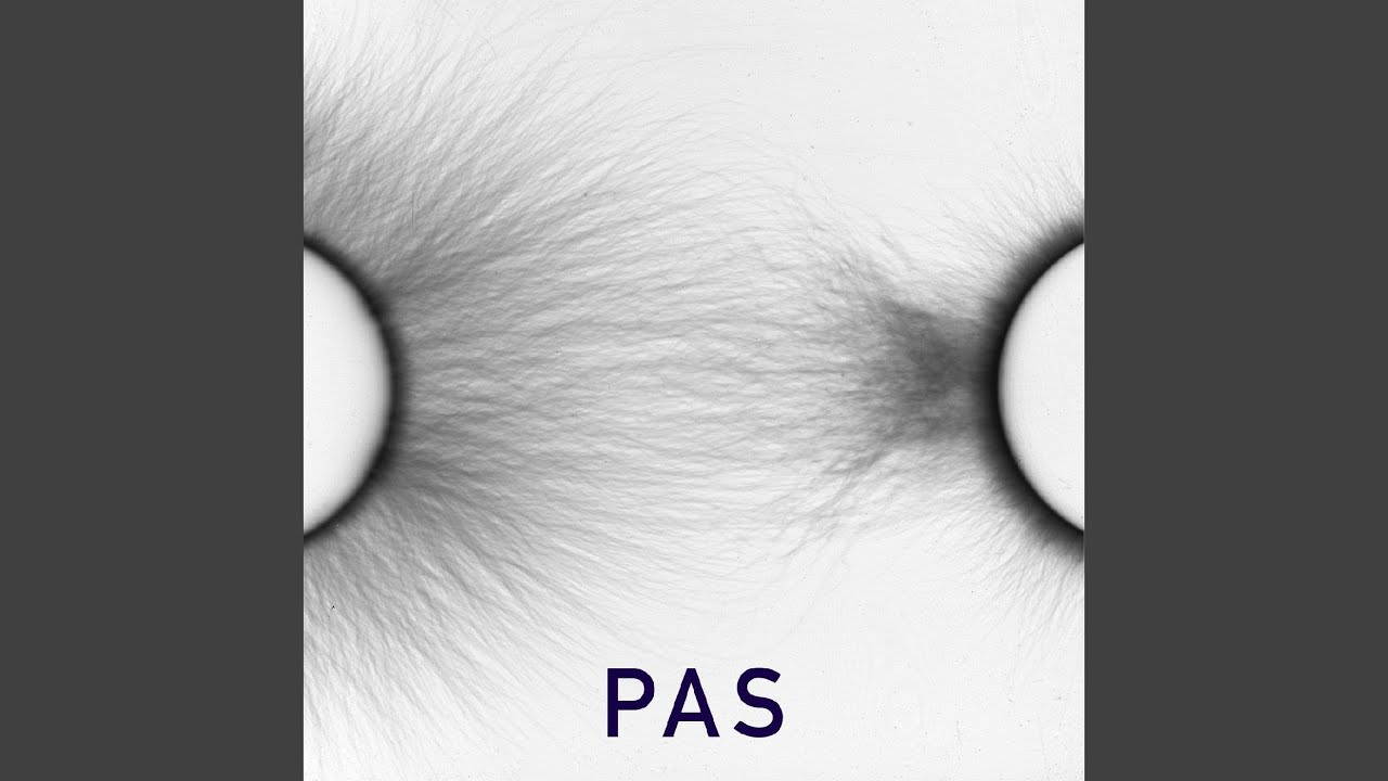 Pas [2018]