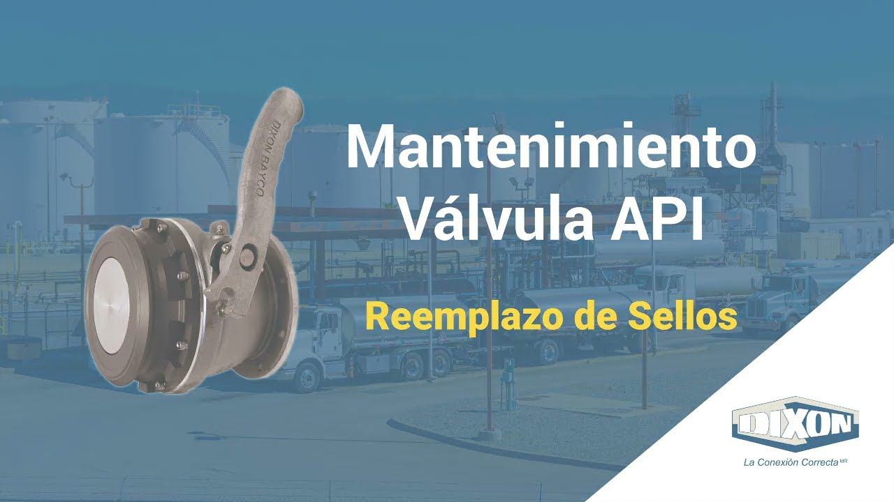 Mantenimiento Válvula API: Reemplazo Sellos