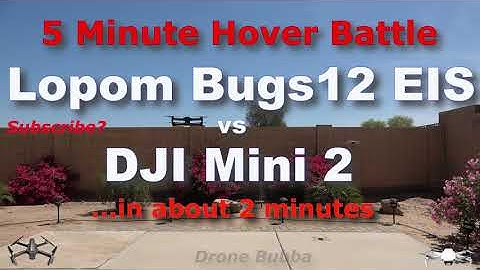 Lopom (MJX) Bugs12 vs DJI Mini 2: 5 Minute Hover Battle...in about 2 Minutes