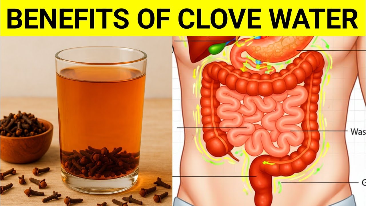 Clove Water Benefits – Boost Digestion, Oral Health & Immunity Naturally