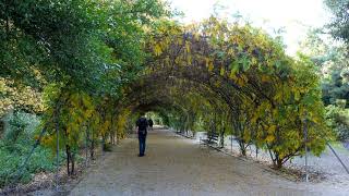 Australia - Adelaide Botanical Gardens