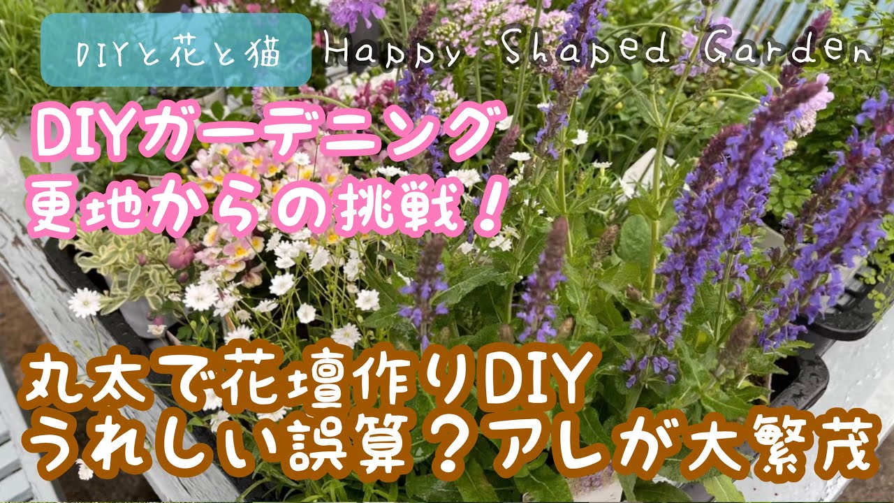 田舎暮らしdiyガーデニング更地からの挑戦 丸太で花壇作りdiy うれしい誤算 アレが大繁茂www Youtube