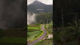 Download Lagu TETEG ATI - STORY WA MP3