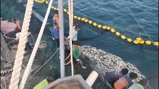 Wooww Kapal Purse seine. Km Dua putra perkasa alonggg