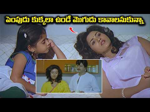 పెంపుడు కుక్కలా ఉండే మొగుడు కావాలనుకున్నా | Naa Mogudu Naake Sontham | Mohan Babu, Jayasudha