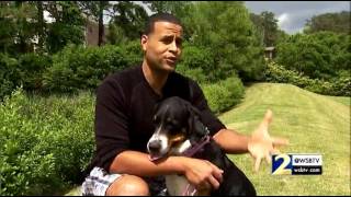 New research aims to slow aging in dogs