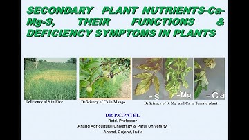 SECONDARY PLANT NUTRIENTS-Ca-Mg-S, THEIR FUNCTIONS & DEFICIENCY SYMPTOMS IN PLANTS by DR.P.C. PATEL