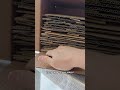 Фальшзимник ловушка для мраморного клопа