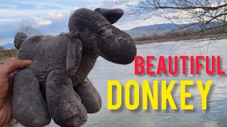 The beautiful donkey was covered in dirt.asmr