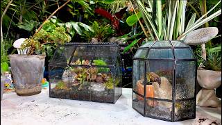 Mini Greenhouse Terrariums