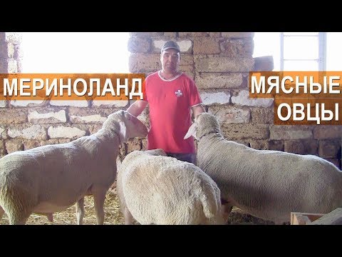 КФХ Сулейманова. Крым.