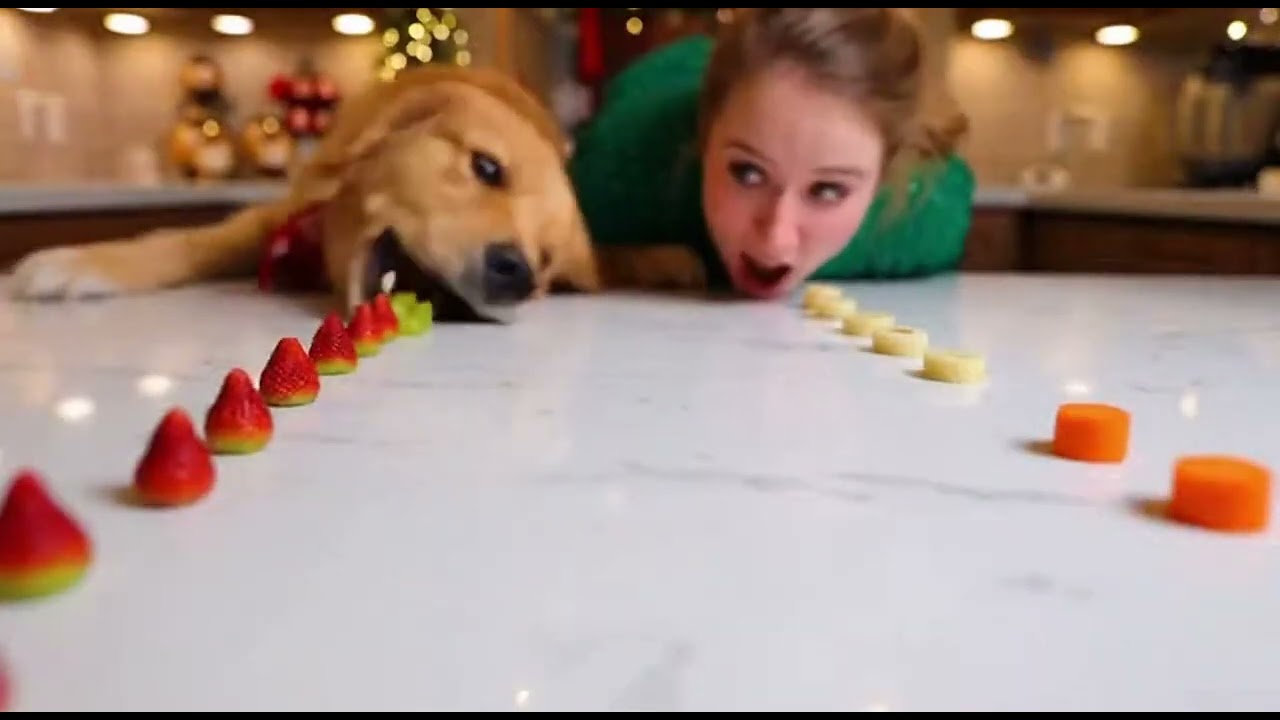 «Праздничная фруктовая феерия: Женщина против Собаки!»