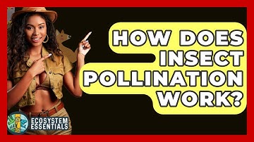 How Does Insect Pollination Work? - Ecosystem Essentials