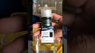 Solution to Return Torn Betta Fish Tails!!