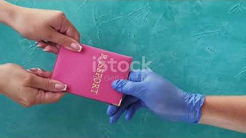 Transforming Aviation with Wingbits | Safer Skies, Smarter Flights 🚀