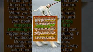 How Your Anxiety Travels Straight to Your Dog #dogpsychology #puppy