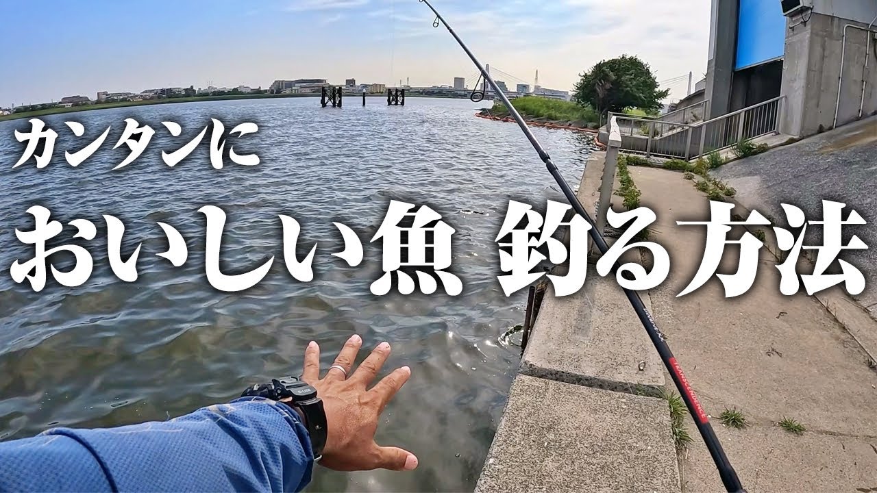 釣り経験0の人にもオススメしたい。簡単に美味しい魚を釣る釣り方を教えます。