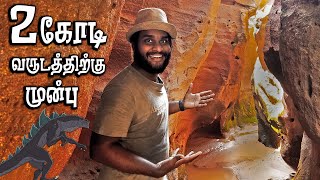 2 crore Years old in Tamilnadu | Thiruvakkarai Fossil Wood | Tamil Navigation