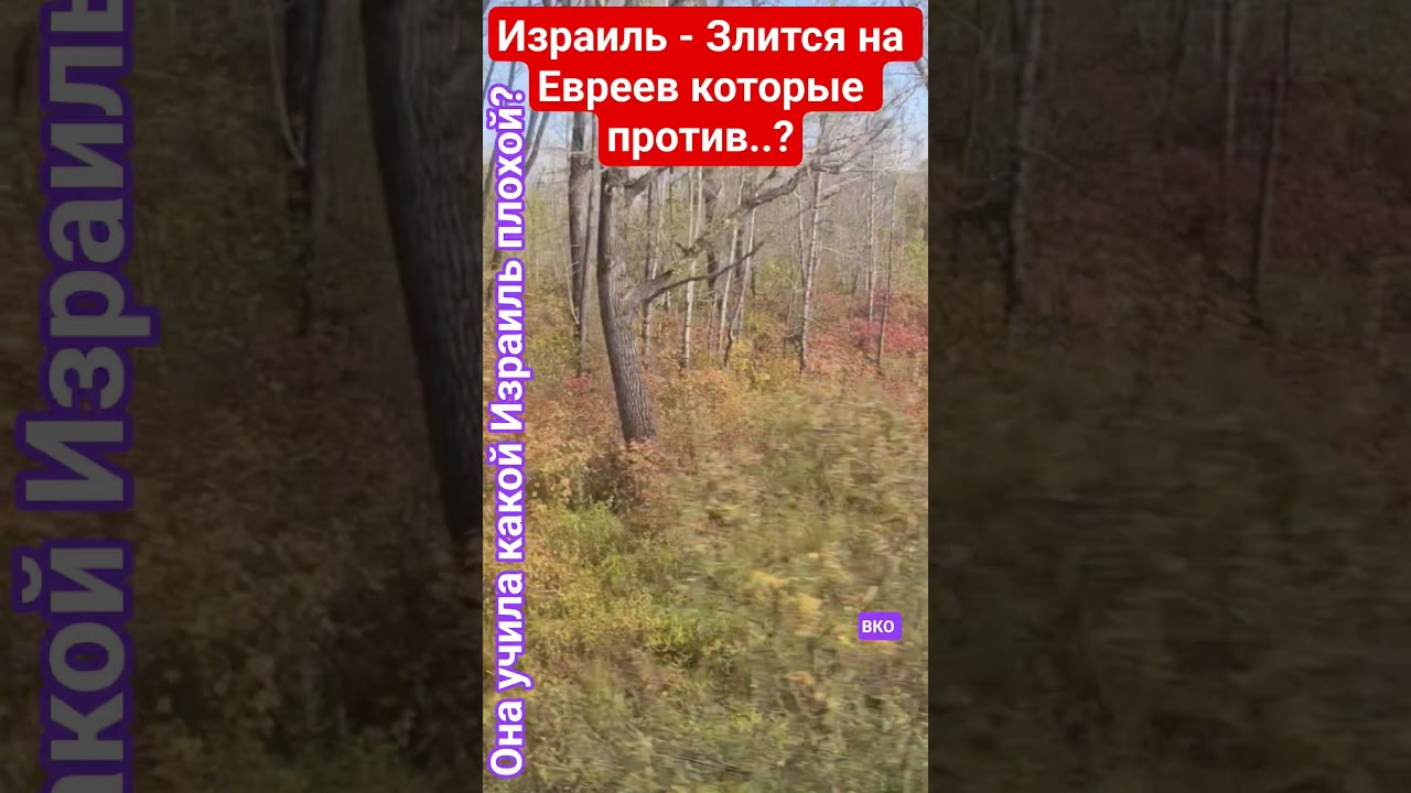 Эту тупую ду..у мы вернули? #здоровье #честь #мудрость #израиль #счастье #мир #бизнес