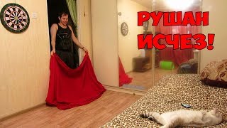 НЭНСИ В ШОКЕ КУДА ДЕЛСЯ РУШАН\РЕАКЦИЯ КОШКИ НЭНСИ В ШОКЕ КУДА ДЕЛСЯ РУШАН\РЕАКЦИЯ КОШКИ
