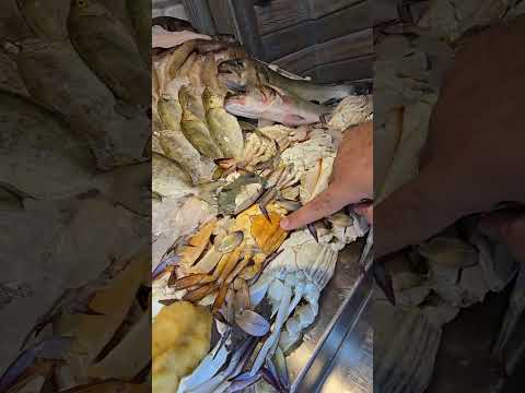 السهره بدئت بالنوااااادر ياجمهوريه