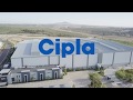 Ciplas cape town distribution centre