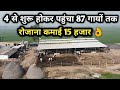 आम पशुपालक का खास डेरी फार्म Successful Malhi Dairy farm Ambala Haryana