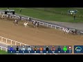 Race #7 – 14.02.25 – Lincoln Handicap – Mashkoor