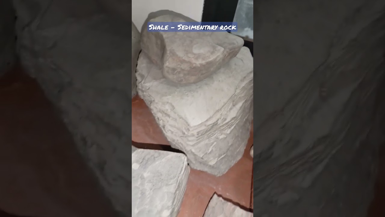 Shale - Clastic Sedimentary Rock and it’s fissility 