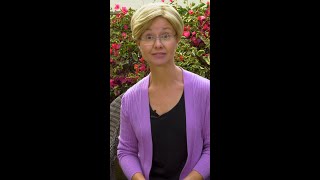 Elizabeth Warren has a message for Pete Buttigieg
