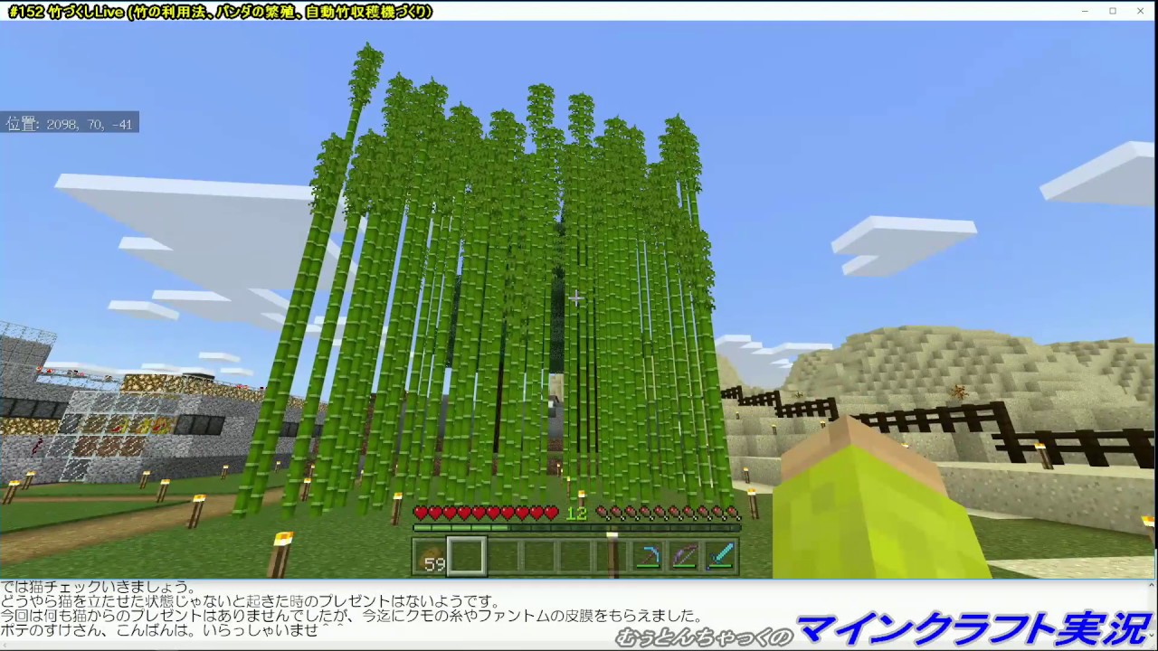 マインクラフト 152 竹づくしlive 竹の利用法 パンダの繁殖 自動竹収穫機づくり Youtube