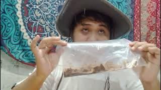 DETECTIVE DEFECTIVE COMANG